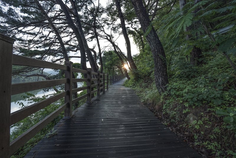Nature Trail Walk